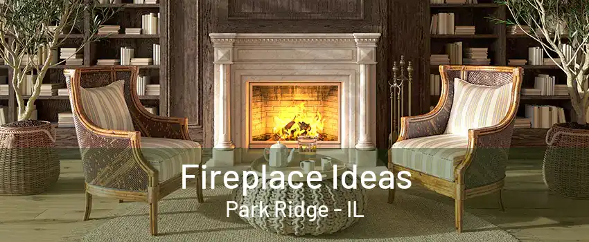 Fireplace Ideas Park Ridge - IL