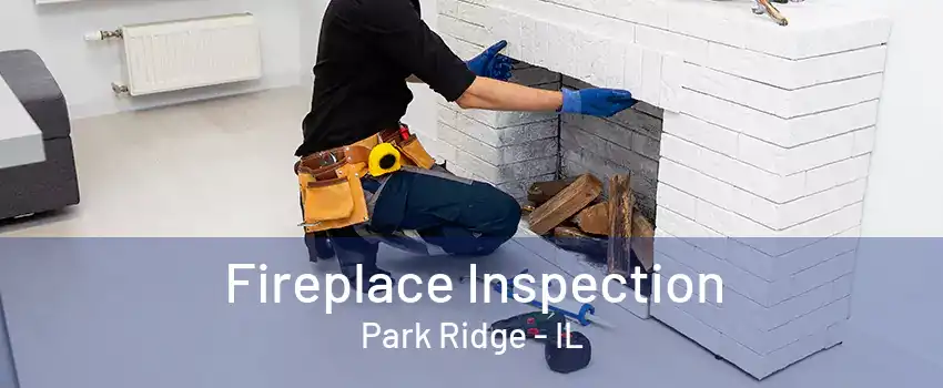 Fireplace Inspection Park Ridge - IL