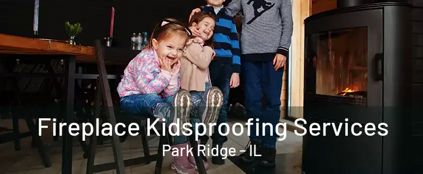 Fireplace Kidsproofing Services Park Ridge - IL