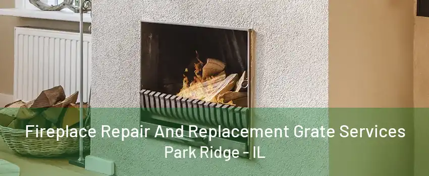 Fireplace Repair And Replacement Grate Services Park Ridge - IL