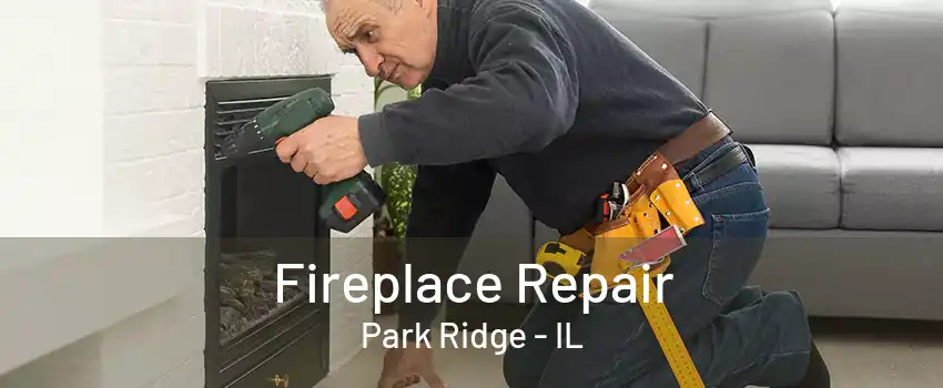 Fireplace Repair Park Ridge - IL