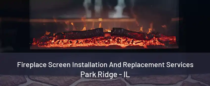 Fireplace Screen Installation And Replacement Services Park Ridge - IL