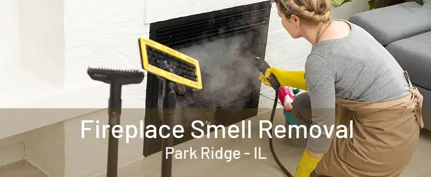 Fireplace Smell Removal Park Ridge - IL