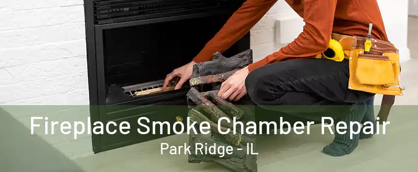 Fireplace Smoke Chamber Repair Park Ridge - IL