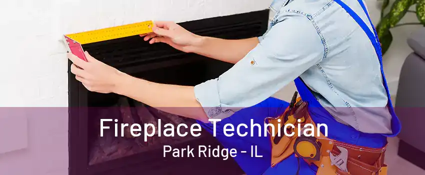 Fireplace Technician Park Ridge - IL