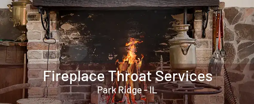 Fireplace Throat Services Park Ridge - IL