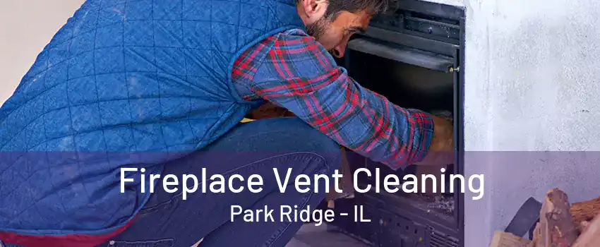 Fireplace Vent Cleaning Park Ridge - IL