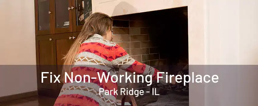 Fix Non-Working Fireplace Park Ridge - IL