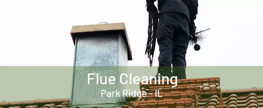 Flue Cleaning Park Ridge - IL