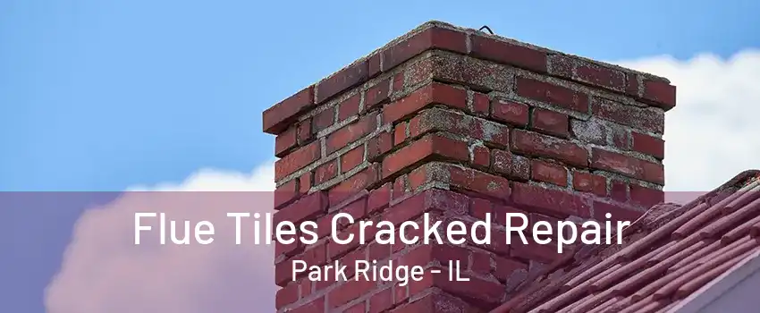 Flue Tiles Cracked Repair Park Ridge - IL