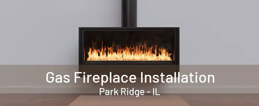 Gas Fireplace Installation Park Ridge - IL