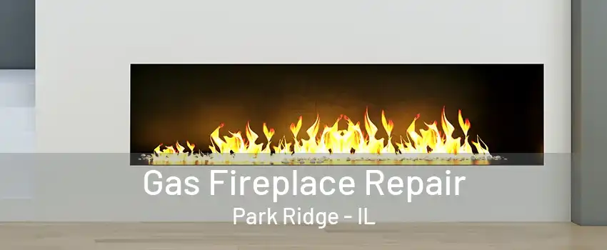 Gas Fireplace Repair Park Ridge - IL