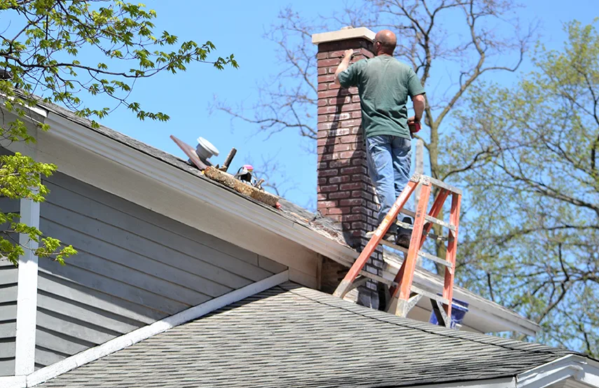 Chimney & Fireplace Inspections Services in Park Ridge, IL