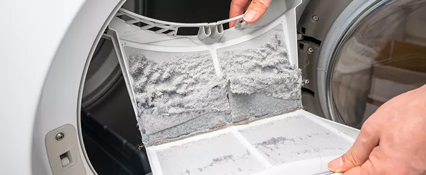 Best Dryer Lint Removal Company in Park Ridge, Illinois