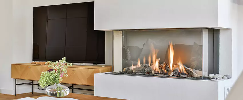 Ortal Wilderness Fireplace Repair and Maintenance in Park Ridge, Illinois