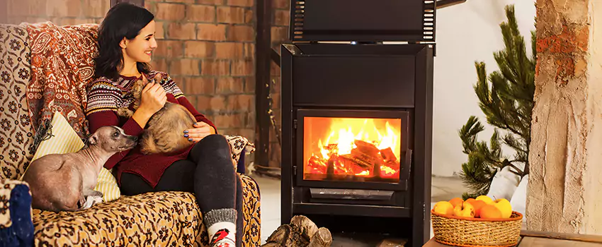 Wood Stove Chimney Cleaning Services in Park Ridge, IL