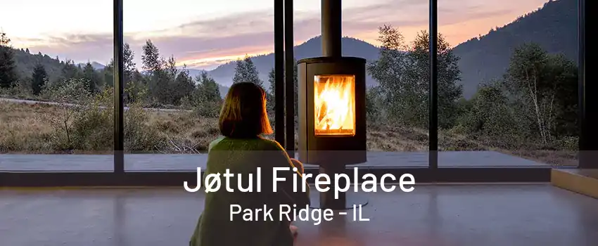 Jøtul Fireplace Park Ridge - IL