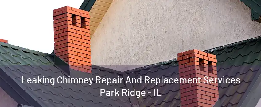 Leaking Chimney Repair And Replacement Services Park Ridge - IL