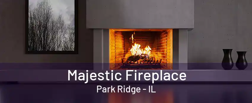 Majestic Fireplace Park Ridge - IL