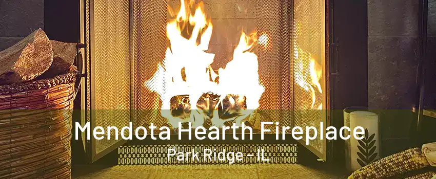 Mendota Hearth Fireplace Park Ridge - IL