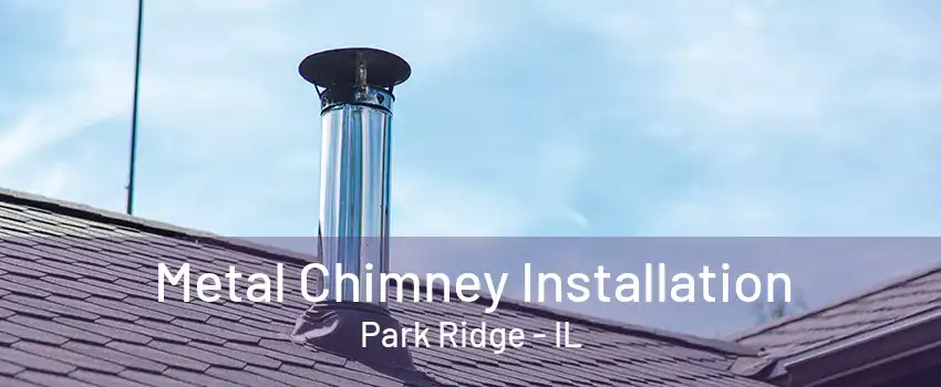 Metal Chimney Installation Park Ridge - IL