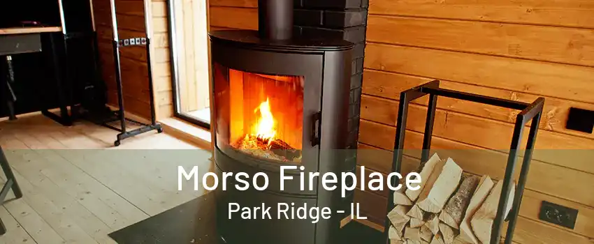 Morso Fireplace Park Ridge - IL