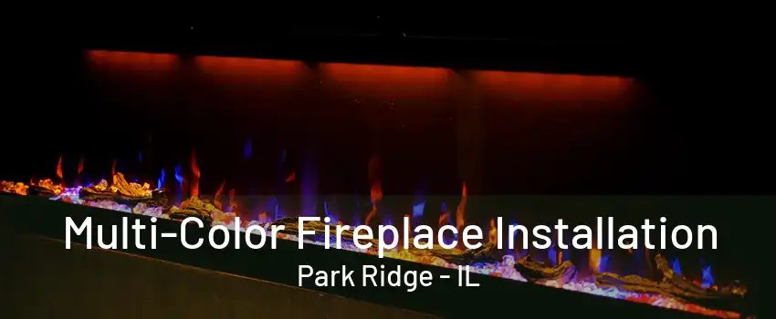 Multi-Color Fireplace Installation Park Ridge - IL