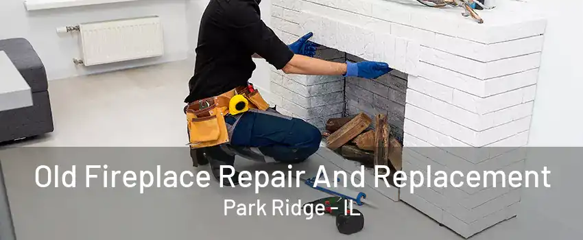 Old Fireplace Repair And Replacement Park Ridge - IL