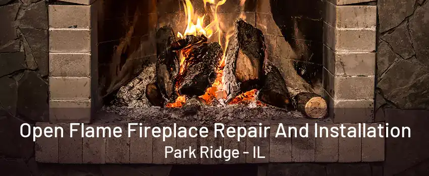 Open Flame Fireplace Repair And Installation Park Ridge - IL