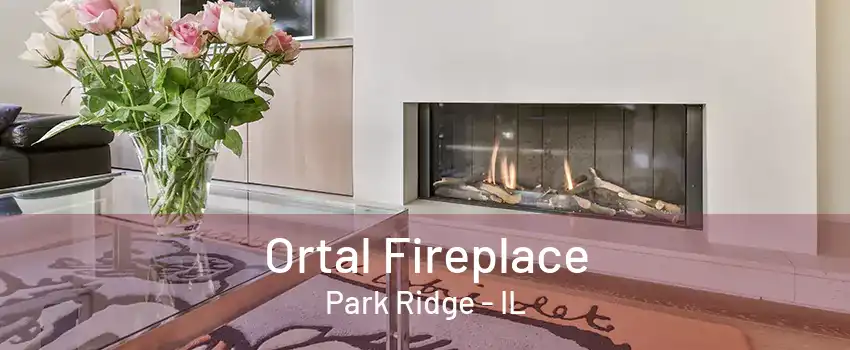 Ortal Fireplace Park Ridge - IL