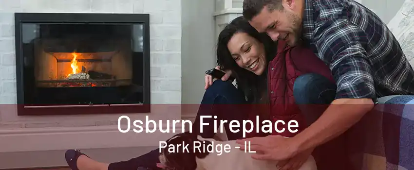 Osburn Fireplace Park Ridge - IL