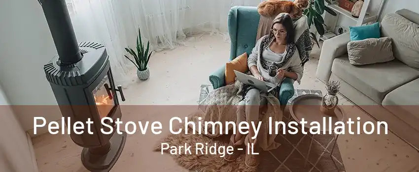 Pellet Stove Chimney Installation Park Ridge - IL