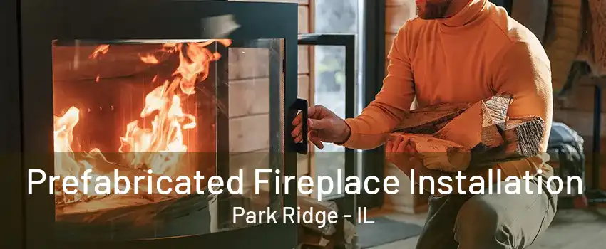 Prefabricated Fireplace Installation Park Ridge - IL