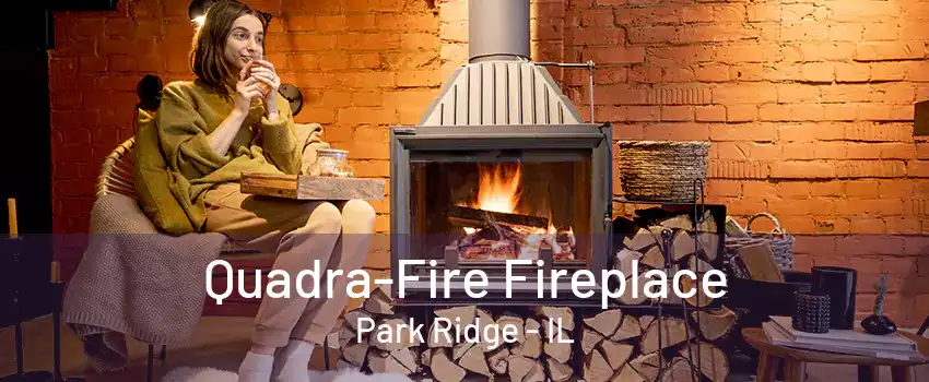 Quadra-Fire Fireplace Park Ridge - IL