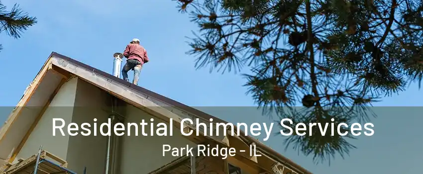 Residential Chimney Services Park Ridge - IL