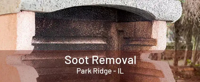 Soot Removal Park Ridge - IL