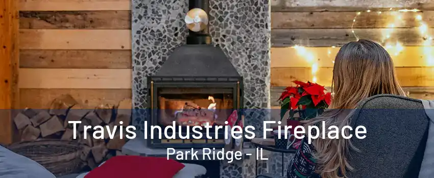 Travis Industries Fireplace Park Ridge - IL