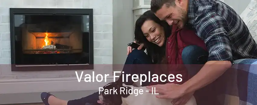 Valor Fireplaces Park Ridge - IL