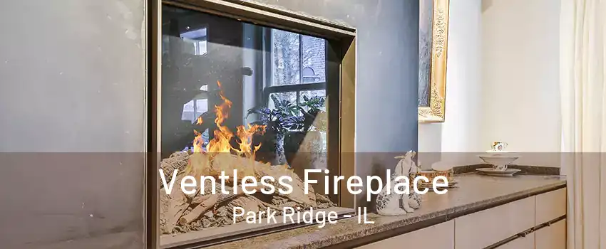 Ventless Fireplace Park Ridge - IL