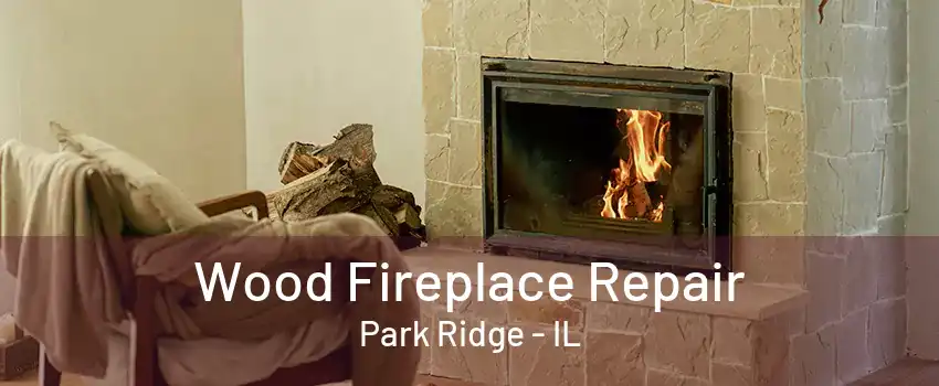 Wood Fireplace Repair Park Ridge - IL