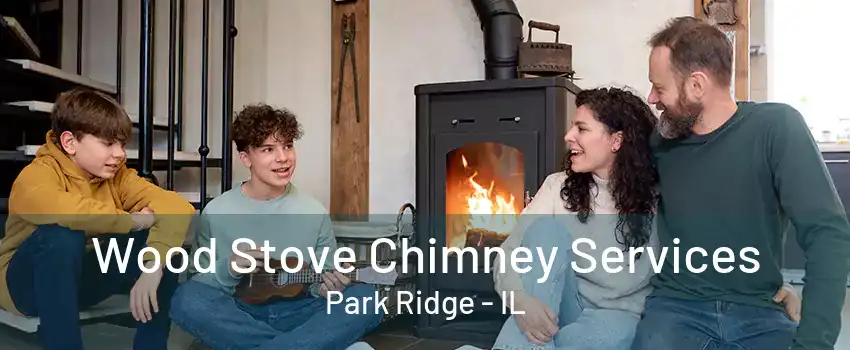 Wood Stove Chimney Services Park Ridge - IL